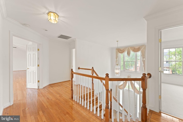 42935 Palliser Ct, Leesburg, VA 20176 - hallway with ornamental molding, an upstairs landing, visible vents, and light wood-style floors