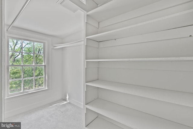 2418 Forest Glen Rd, Silver Spring, MD 20910 - walk in closet featuring carpet