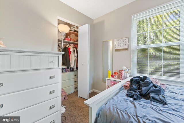 carpeted bedroom with baseboards, a walk in closet, and a closet