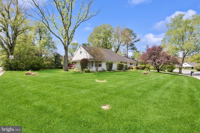 view of yard