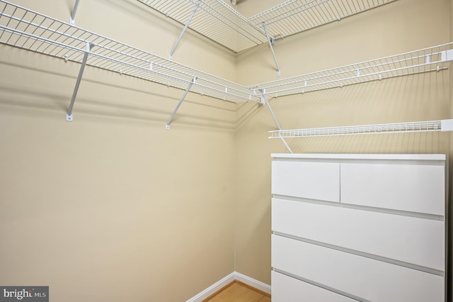 walk in closet featuring light wood-style floors