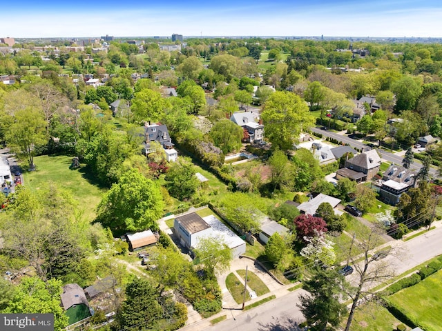 bird's eye view