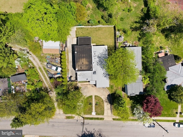 bird's eye view