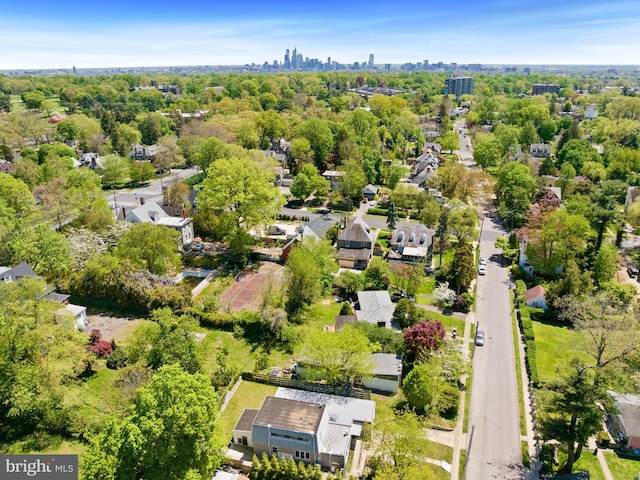 bird's eye view