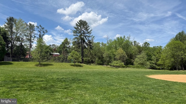 12011 Ashley Dr, Rockville, MD 20852 - view of yard