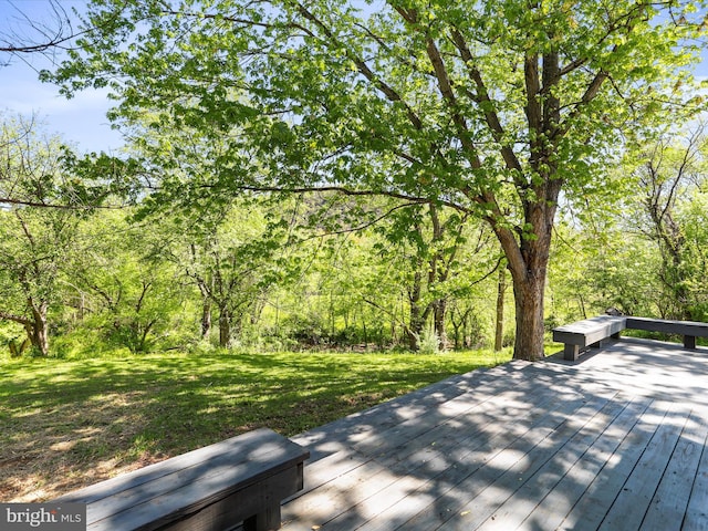 wooden deck featuring a lawn and a wooded view