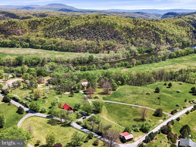 bird's eye view with a view of trees and a mountain view