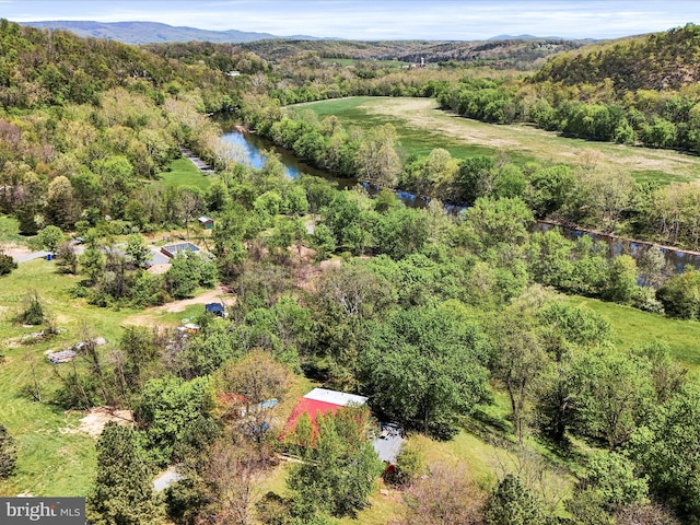 bird's eye view with a view of trees and a mountain view