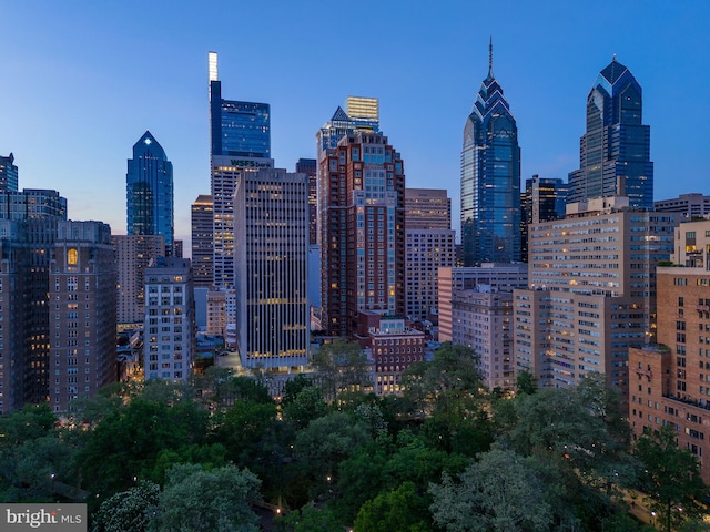 1830 Rittenhouse Sq Unit 17B, Philadelphia, PA 19103 - view of city