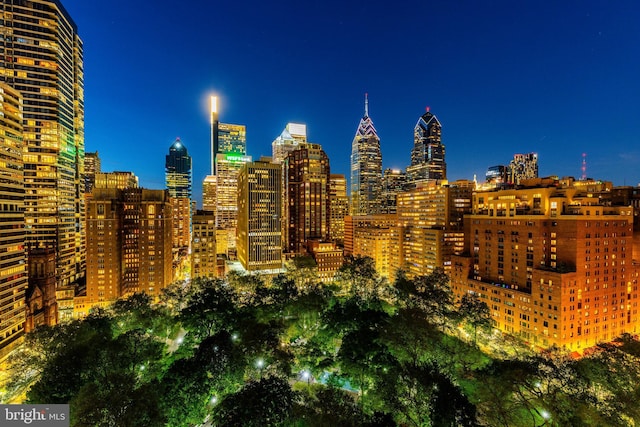 1830 Rittenhouse Sq Unit 17B, Philadelphia, PA 19103 - view of city