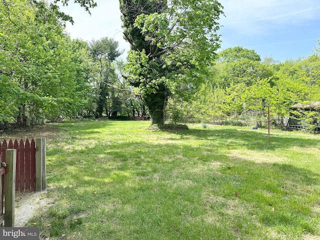 view of yard