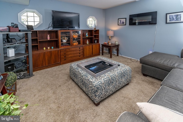 living area with carpet floors
