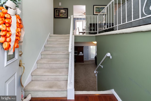 staircase featuring wood finished floors, a ceiling fan, carpet flooring, and baseboards