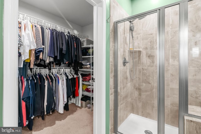 3058 Sunny Ridge Dr, Odenton, MD 21113 - spacious closet with carpet