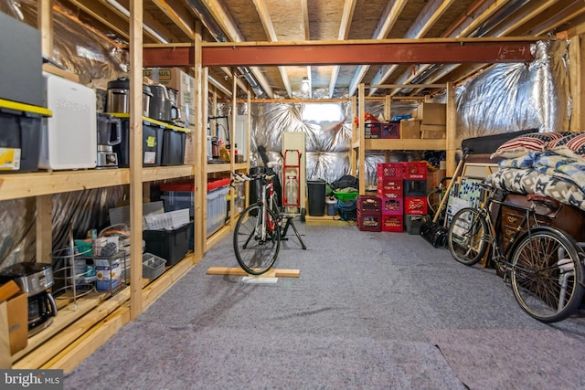 3058 Sunny Ridge Dr, Odenton, MD 21113 - view of storage