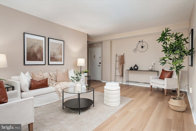 living area featuring wood finished floors