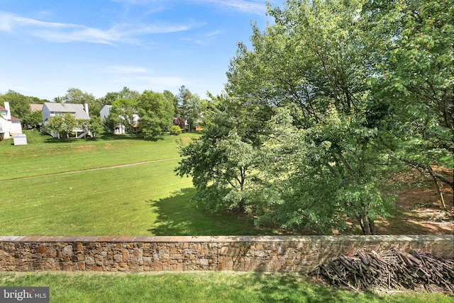 view of green lawn