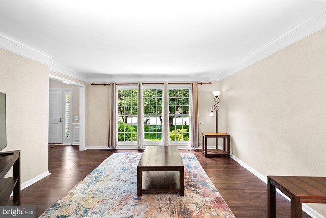 living room with crown molding, dark wood-type flooring, and baseboards