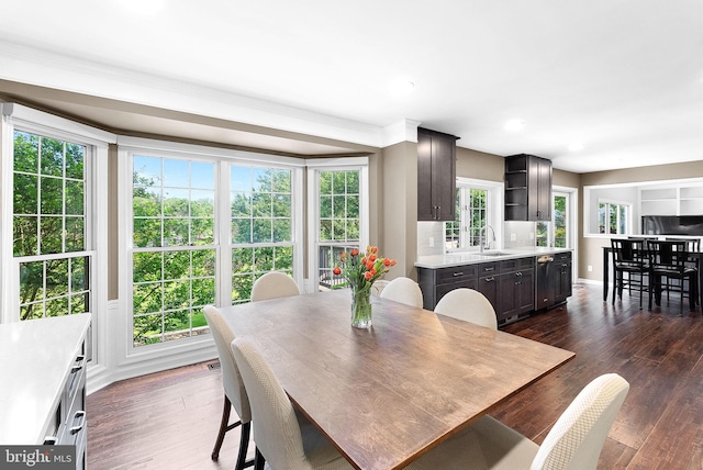 dining space featuring dark wood-style floors, plenty of natural light, recessed lighting, baseboards, and ornamental molding