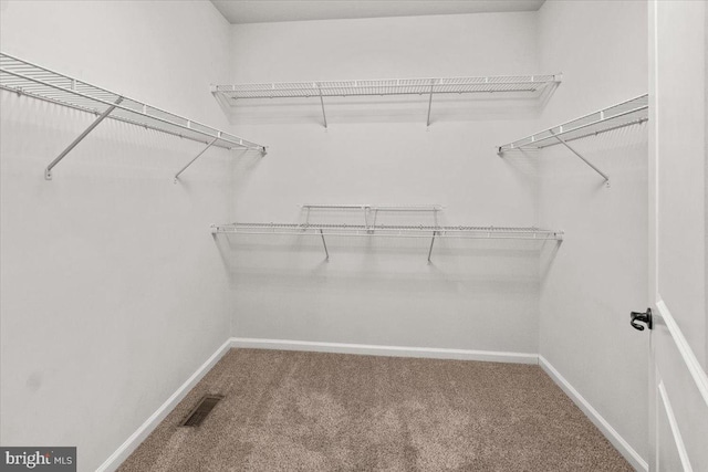 walk in closet featuring visible vents and carpet