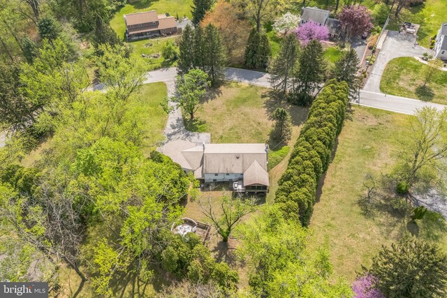 aerial view