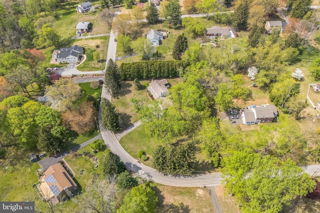 aerial view