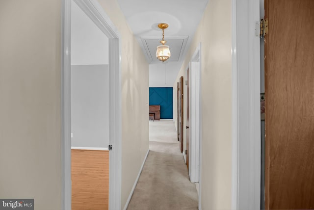 corridor with attic access, carpet flooring, and baseboards
