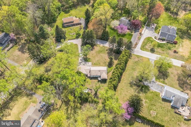 bird's eye view