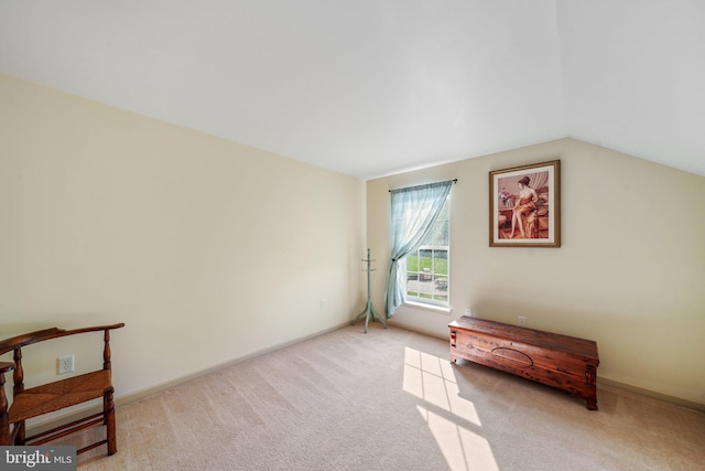 interior space featuring baseboards and vaulted ceiling