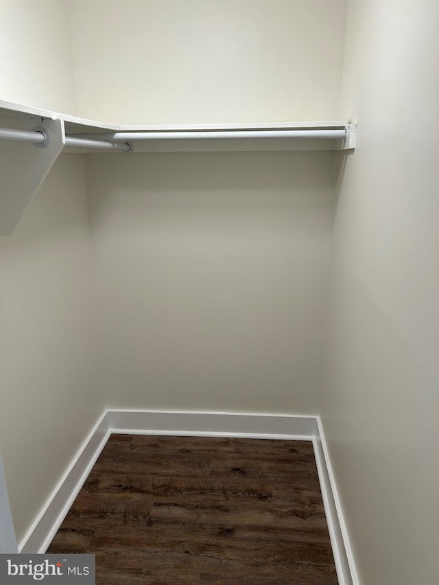 walk in closet featuring wood finished floors