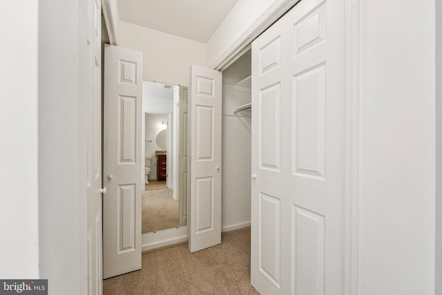 walk in closet with light colored carpet