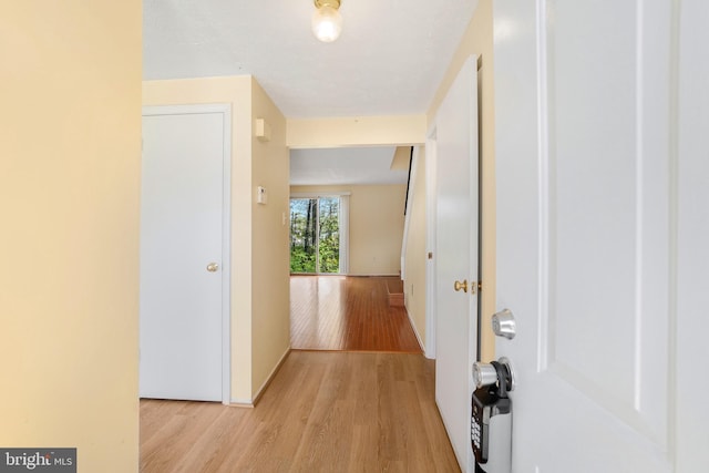 hall with light wood-style flooring