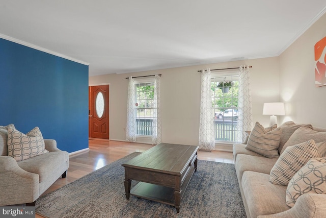 living room featuring crown molding, baseboards, and wood finished floors