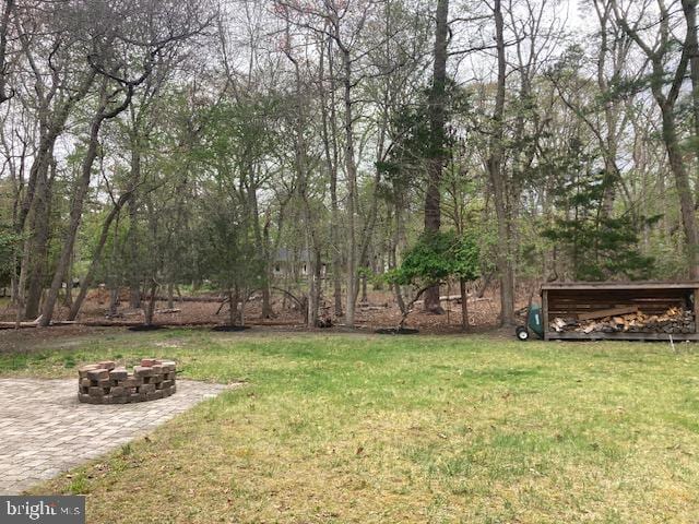 5 Big Look Trl, Medford, NJ 08055 - view of grassy yard featuring a fire pit