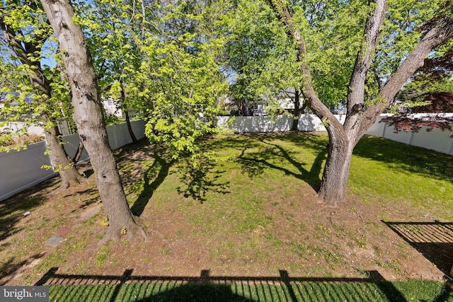 view of yard with a fenced backyard