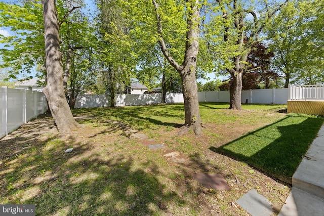 view of yard featuring a fenced backyard