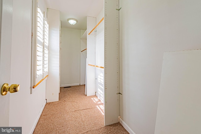 walk in closet featuring light colored carpet