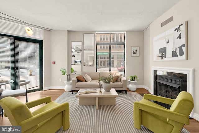 living room featuring baseboards, plenty of natural light, wood finished floors, and a fireplace