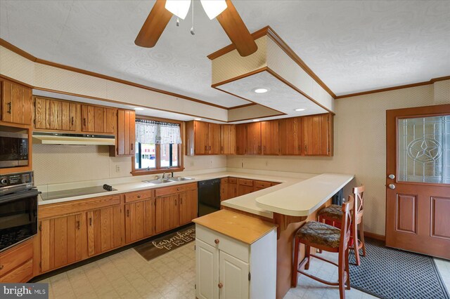 115 Penn St, Millheim, PA 16854 - kitchen with a sink, light countertops, a peninsula, under cabinet range hood, and black appliances