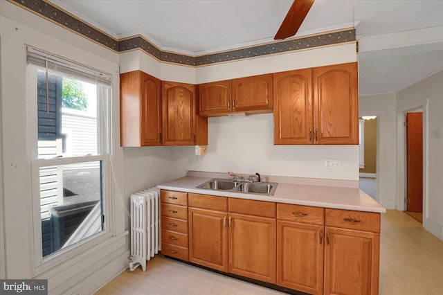 115 Penn St, Millheim, PA 16854 - kitchen featuring a sink, light countertops, brown cabinetry, radiator, and light floors