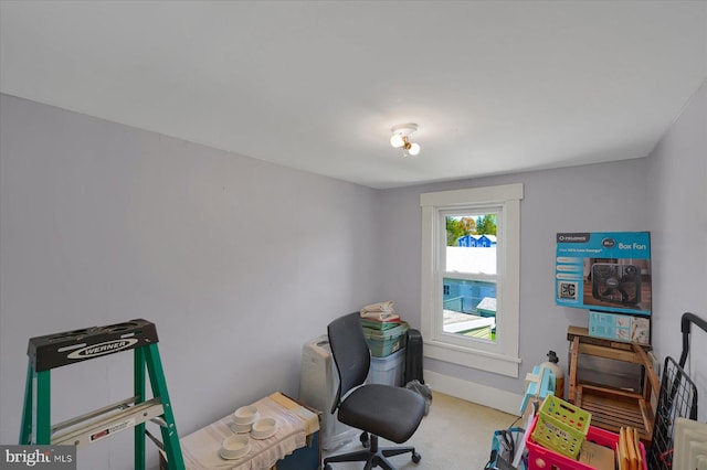 115 Penn St, Millheim, PA 16854 - living area with carpet flooring