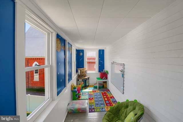 115 Penn St, Millheim, PA 16854 - view of playroom