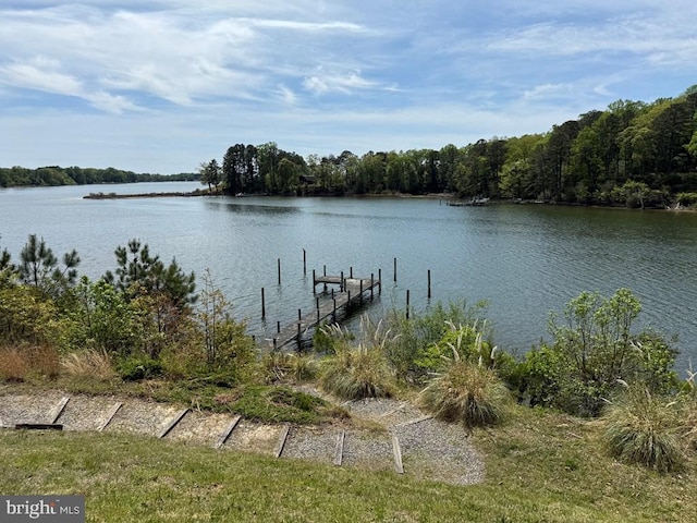 2260 Iberis Rd, Lancaster, VA 22503 - dock area with a water view and a forest view