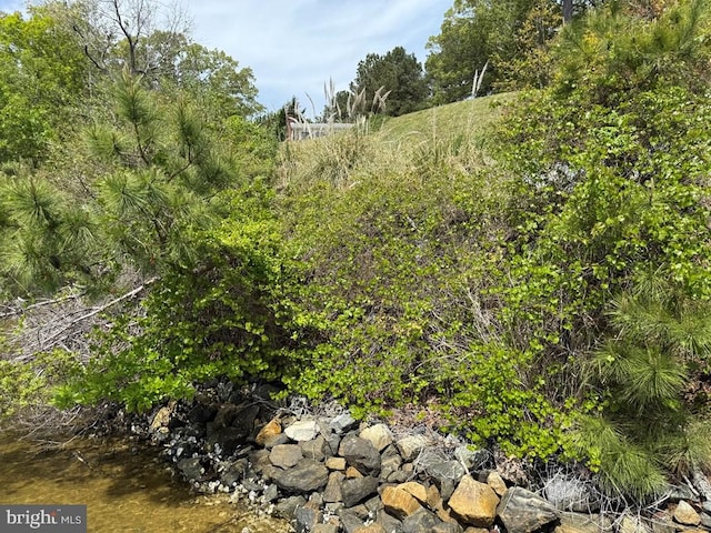 2260 Iberis Rd, Lancaster, VA 22503 - view of nature