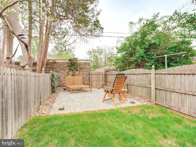 view of yard featuring a fenced backyard and a patio area