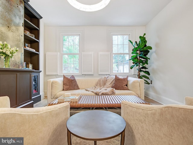 living area with a healthy amount of sunlight, baseboards, and wood finished floors
