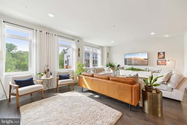 1702 River Sandstone Ter SE, Leesburg, VA 20175 - living room featuring dark wood-type flooring and recessed lighting