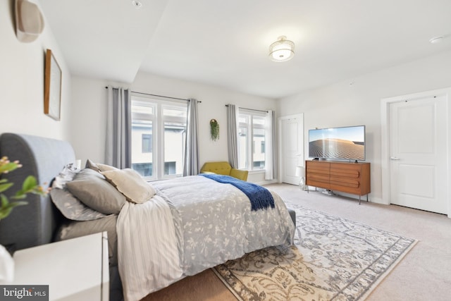 1702 River Sandstone Ter SE, Leesburg, VA 20175 - view of carpeted bedroom