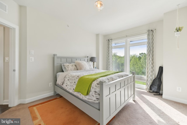 1702 River Sandstone Ter SE, Leesburg, VA 20175 - bedroom featuring baseboards and light carpet
