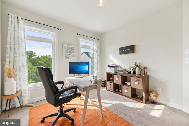 1702 River Sandstone Ter SE, Leesburg, VA 20175 - carpeted home office featuring healthy amount of natural light and baseboards